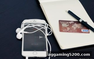 数字资产充值审核流程深度解析：jdb电子假吗平台操作指南