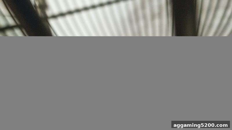 jdb电子假吗？揭秘大小球玩法与时时彩历史记录的深层联系