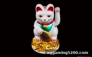 jdb电子假吗？揭秘WPT扑克与六合彩的概率共通点及理性策略