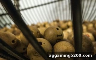 jdb电子假吗？深度拆解彩票定位玩法与直选策略，科学提升命中率