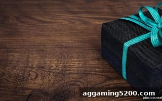 jdb电子假吗实测解读：博狗VIP会员专属优惠全攻略