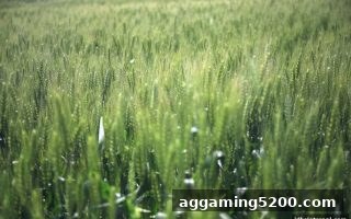 jdb电子假吗？全方位拆解3D数字桌游抽水率如何左右你的盈利曲线