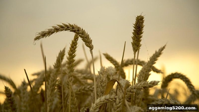 揭秘洗码返佣新变化：jdb电子假吗？一文读懂返水规则与福利陷阱