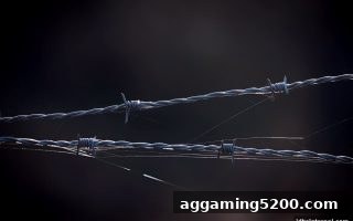 jdb电子假吗？推牌九与CSGO比分网站避坑全攻略